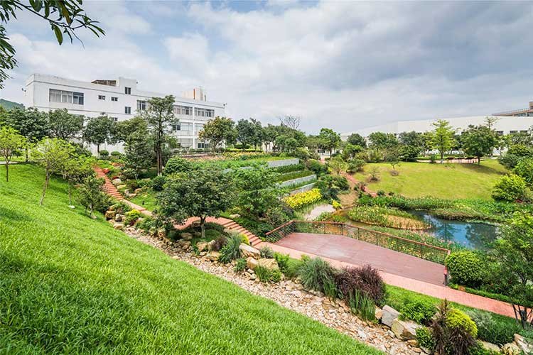 Advantages-of-Rainwater-Harvesting-Systems